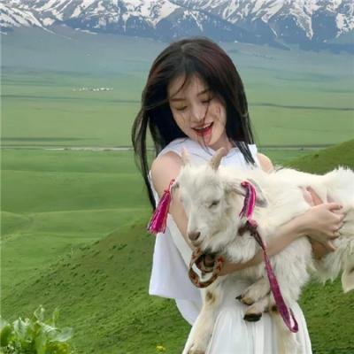 唐老鸭的自我改善