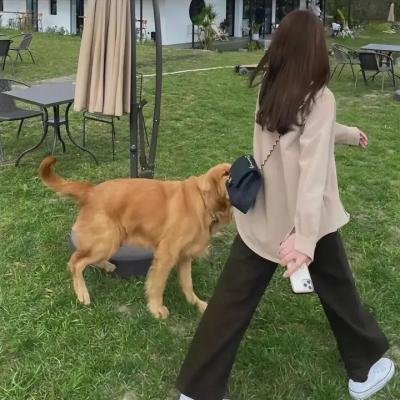 周军的行走